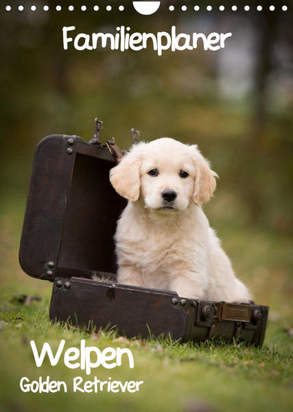 Image of Familienplaner: Golden Retriever Welpen (Wandkalender 2023 DIN A4 hoch)