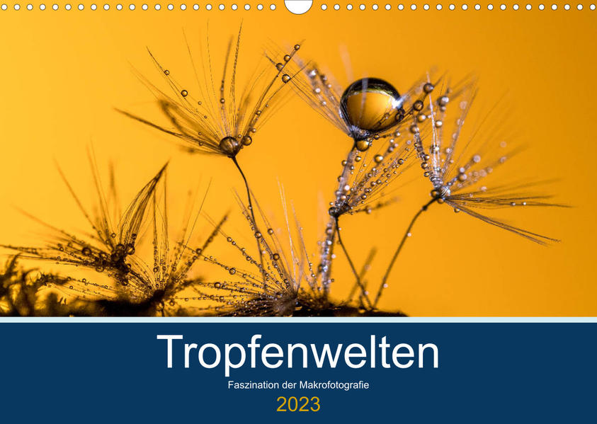 Tropfenwelten; Faszination der Makrofotografie (Wandkalender 2023 DIN A3 quer) - Doris Jachalke
