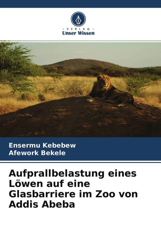 Aufprallbelastung eines Löwen auf eine Glasbarriere im Zoo von Addis Abeba