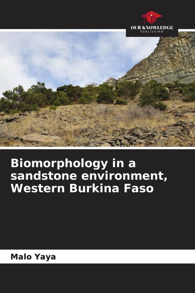 Biomorphology in a sandstone environment Western Burkina Faso