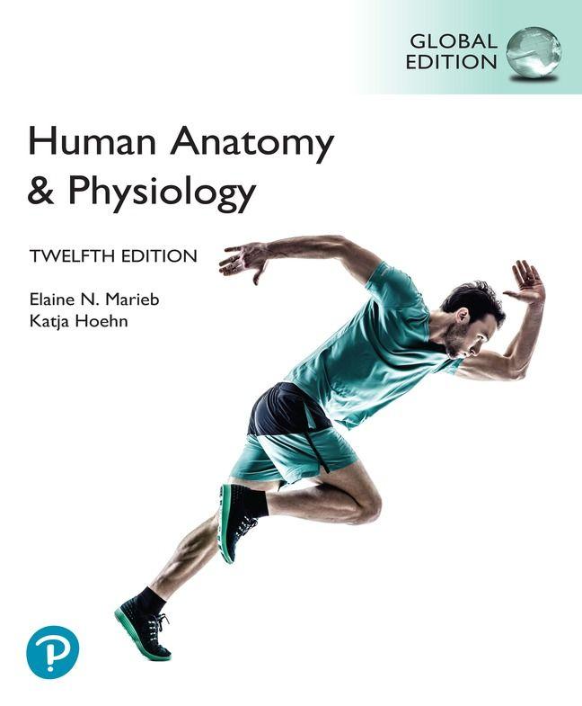 Pearson Human Anatomy & Physiology [Global Edition]