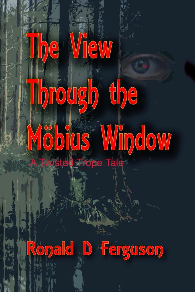 The View Through the Möbius Window
