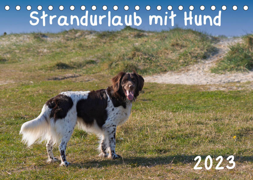 Strandurlaub mit Hund (Tischkalender 2023 DIN A5 quer) - Heidi Bollich