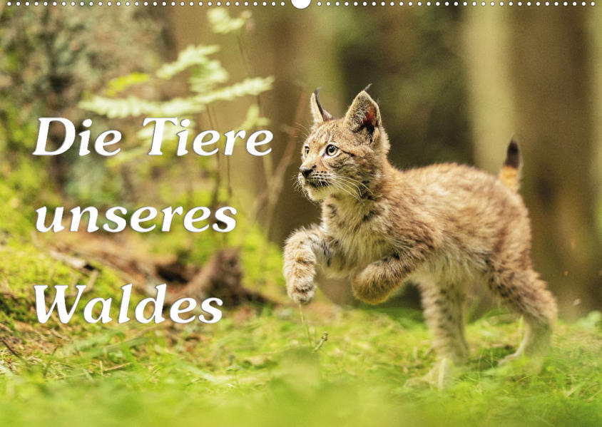 Die Tiere unseres Waldes (Wandkalender 2023 DIN A2 quer) - Gunter Kirsch