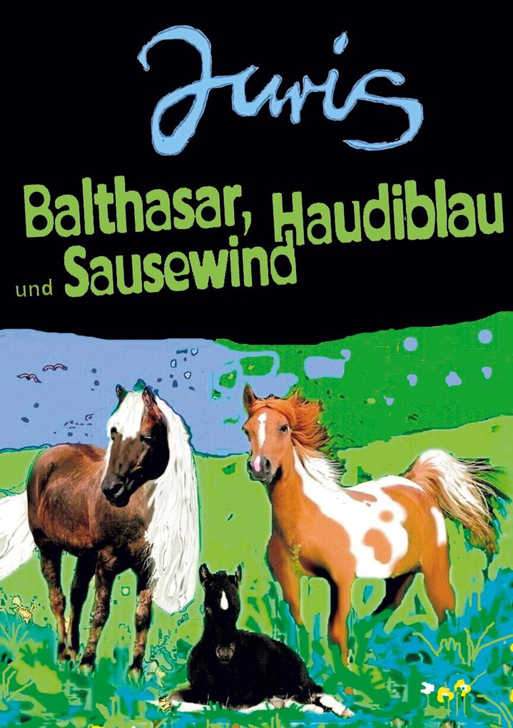 Image of Balthasar Haudiblau und Sausewind