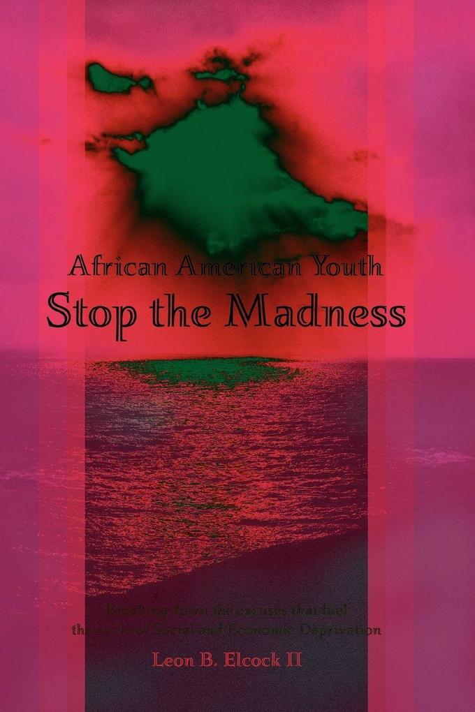 African American Youth - Stop the Madness