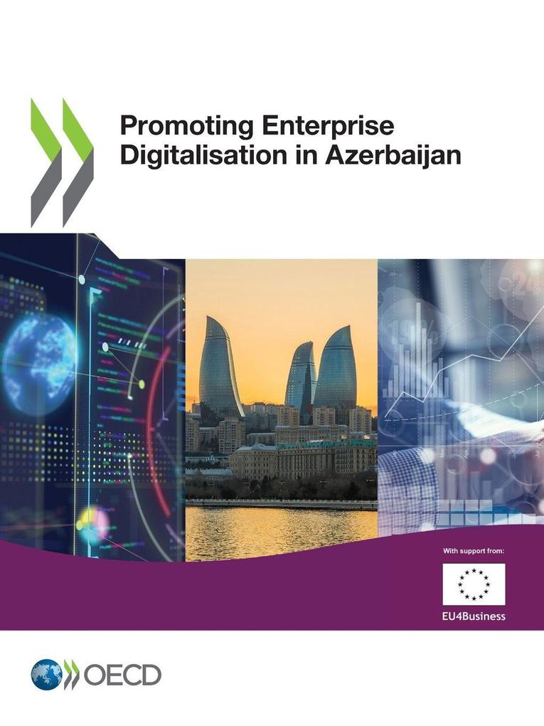 Promoting Enterprise Digitalisation in Azerbaijan