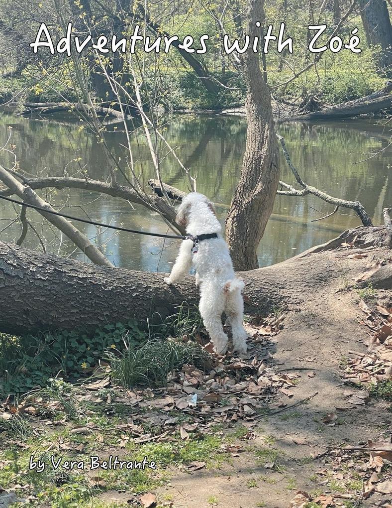 Adventures with Zoé
