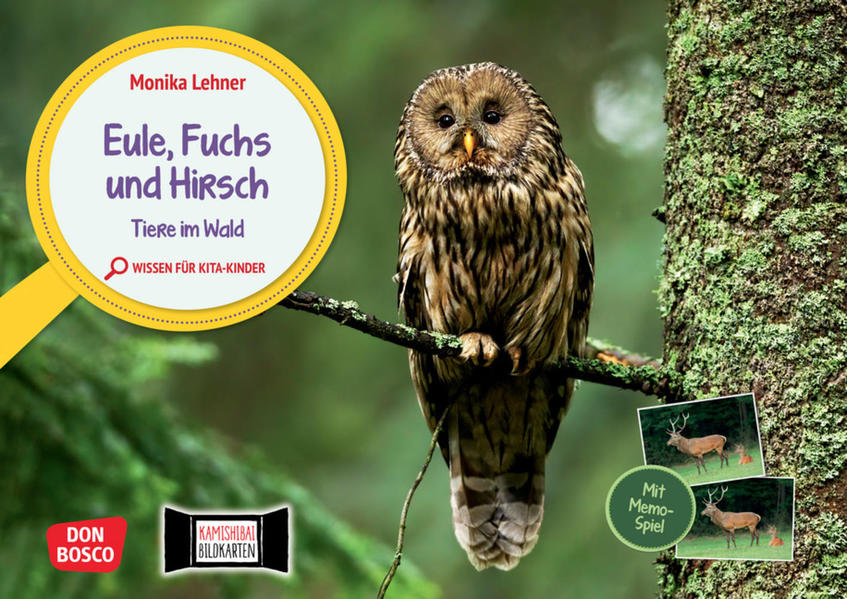 Eule Fuchs und Hirsch. Tiere im Wald