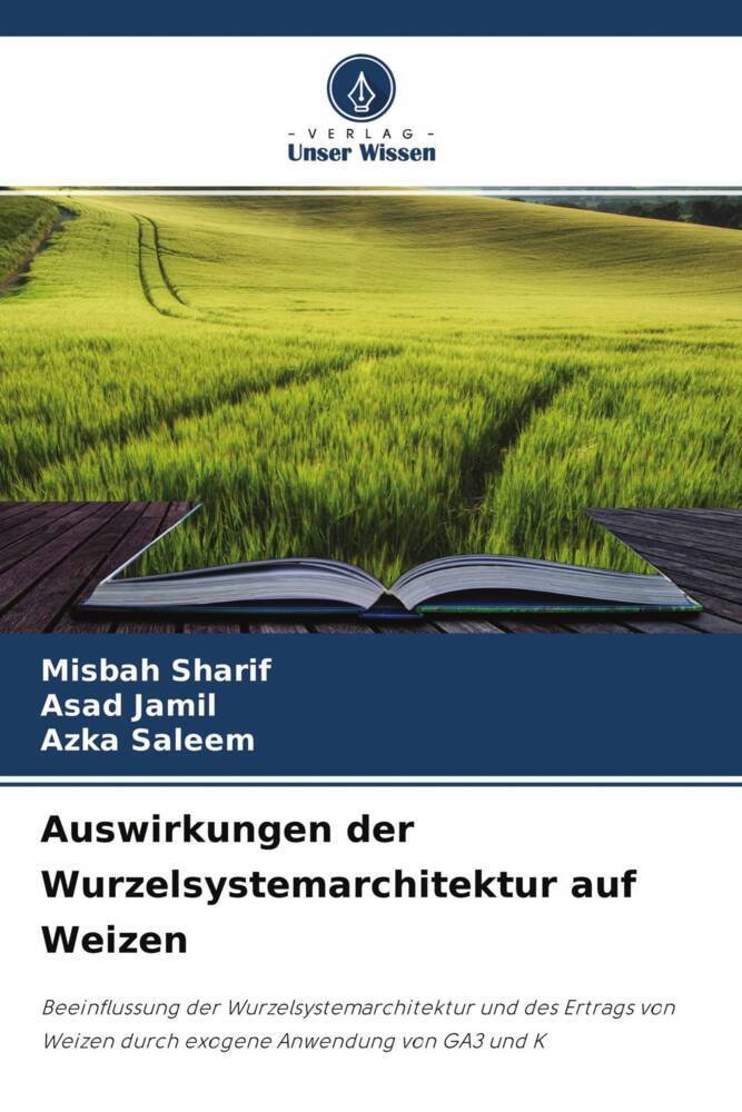 Auswirkungen der Wurzelsystemarchitektur auf Weizen