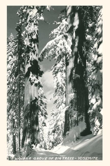 Vintage Journal Wawona Grove of Big Trees Yosemite