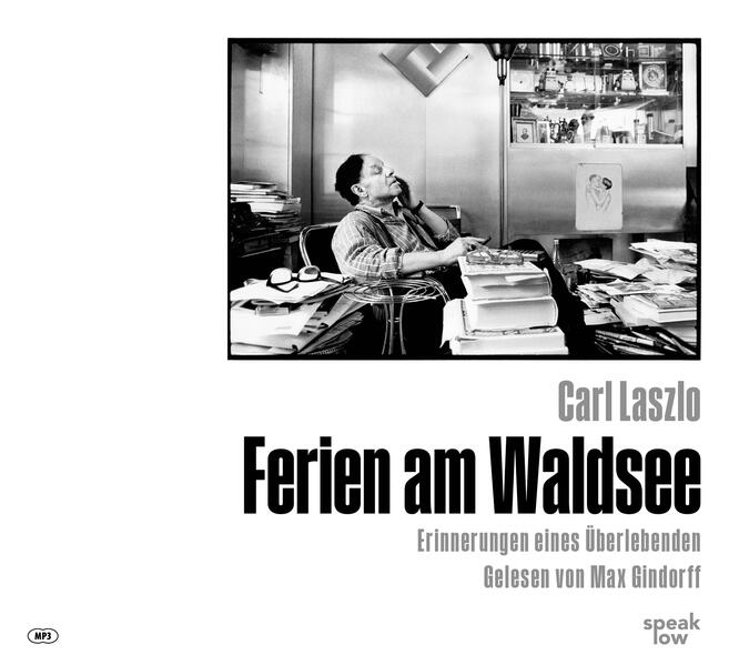 Ferien am WaldseeAudio-CD MP3