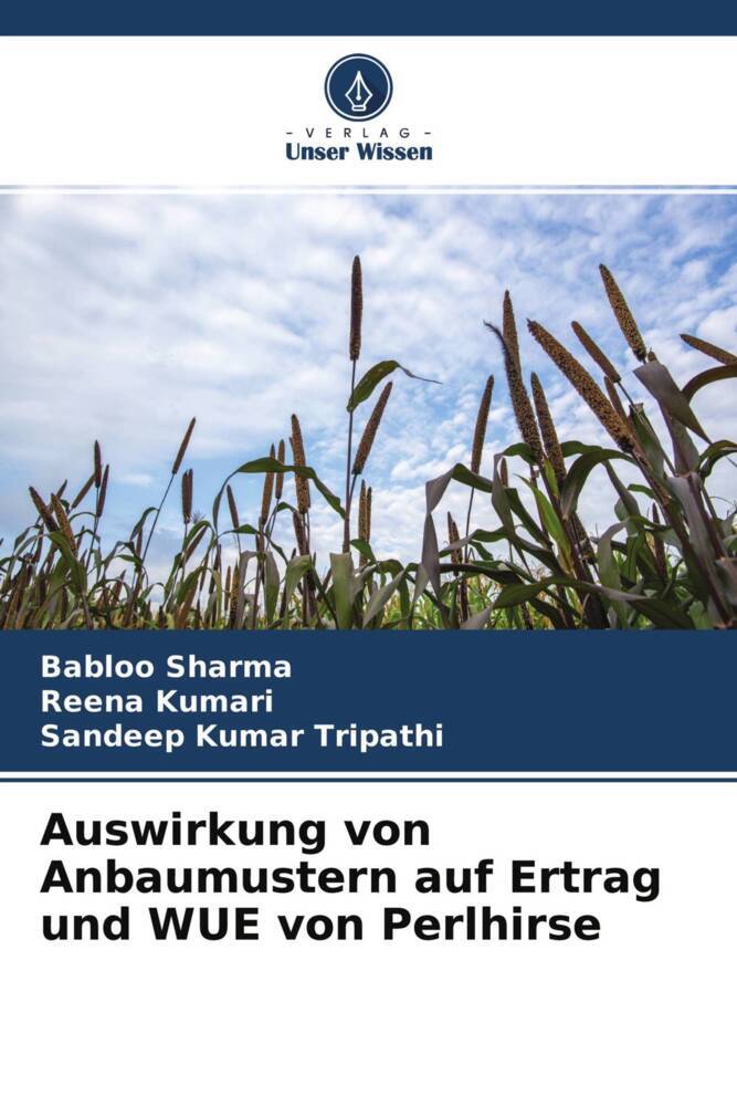 Auswirkung von Anbaumustern auf Ertrag und WUE von Perlhirse