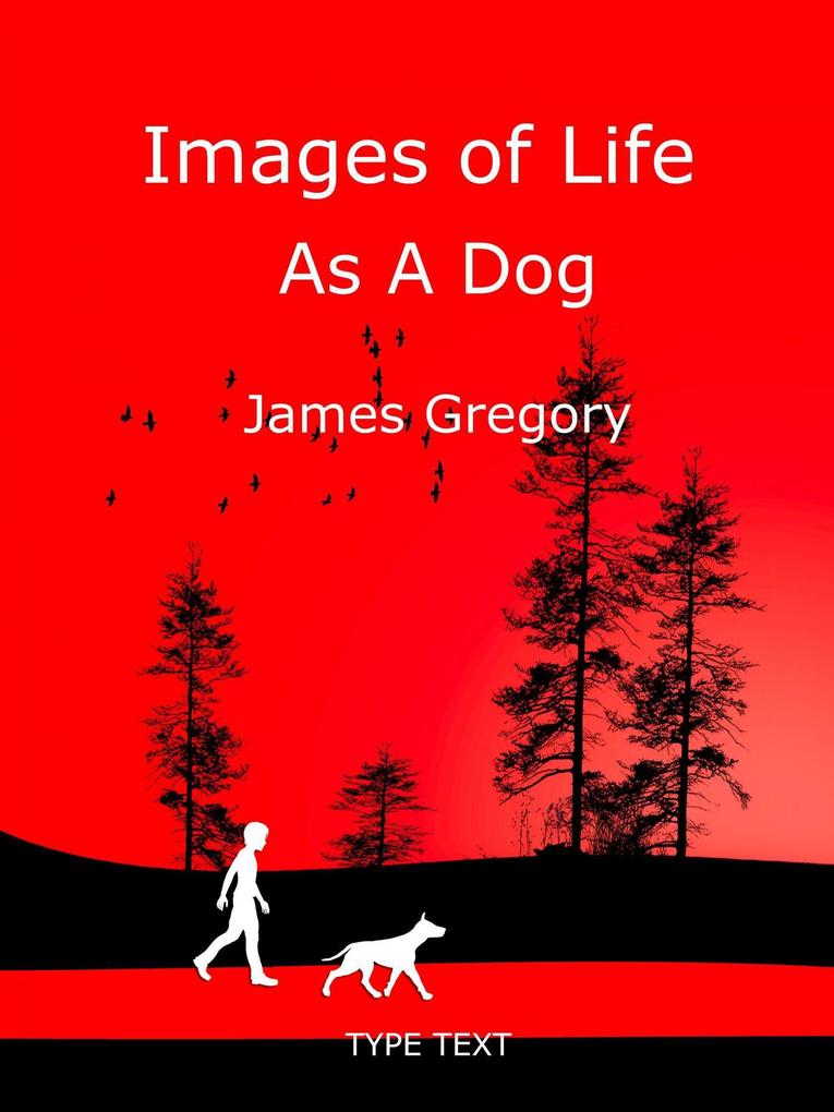 Images of Life as a Dog