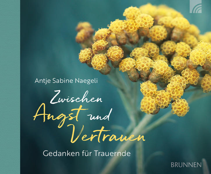 Image of Zwischen Angst und Vertrauen