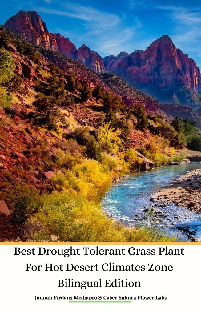 Best Drought Tolerant Grass Plant For Hot Desert Climates Zone Bilingual Edition