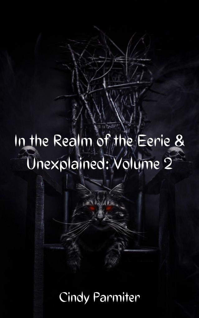In The Realm of the Eerie & Unexplained: Volume 2