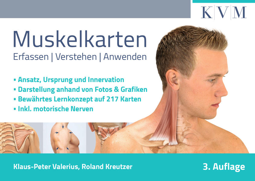 Muskelkarten - Klaus-Peter Valerius/ Roland Kreutzer
