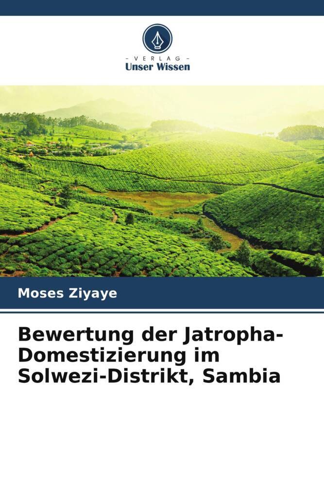 Bewertung der Jatropha-Domestizierung im Solwezi-Distrikt Sambia