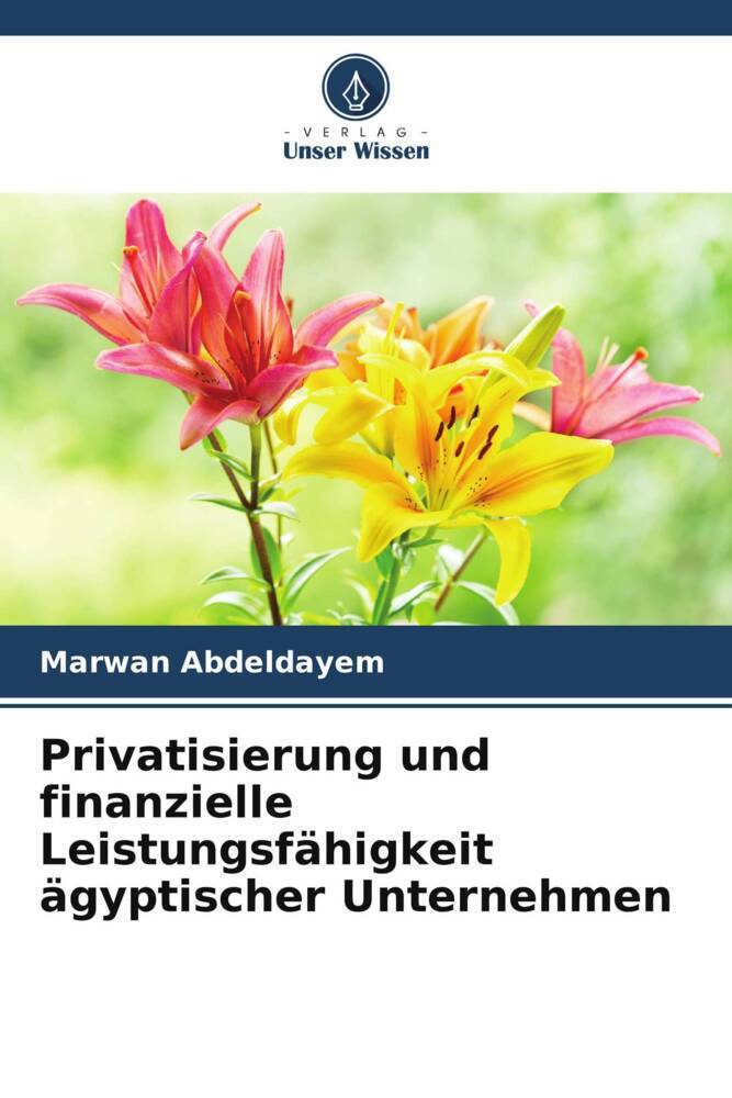 Privatisierung und finanzielle Leistungsfähigkeit ägyptischer Unternehmen