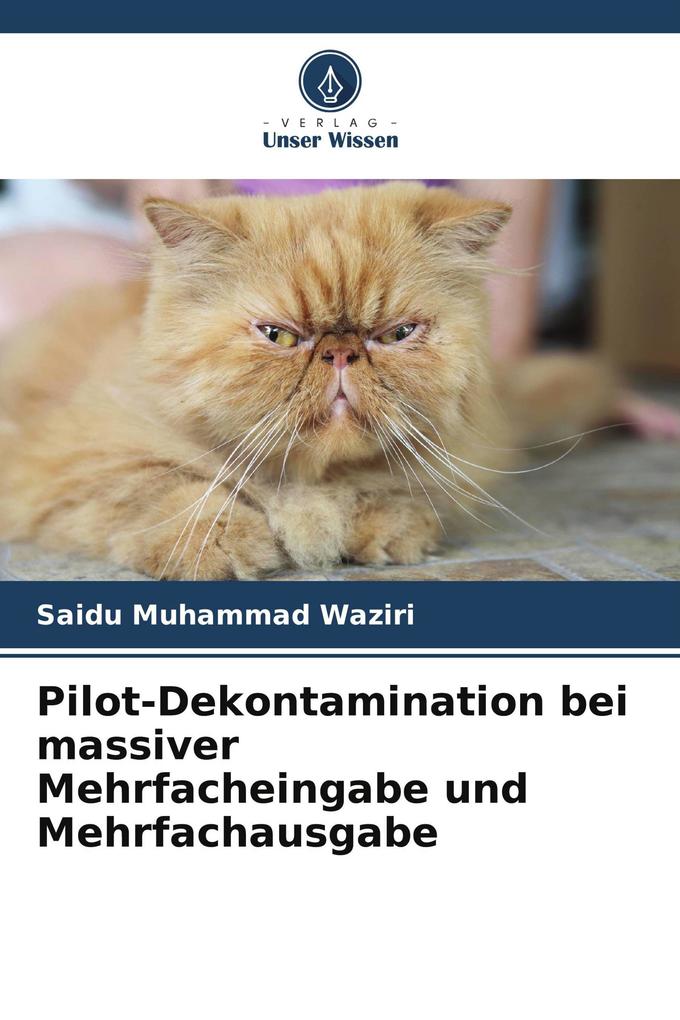 Pilot-Dekontamination bei massiver Mehrfacheingabe und Mehrfachausgabe