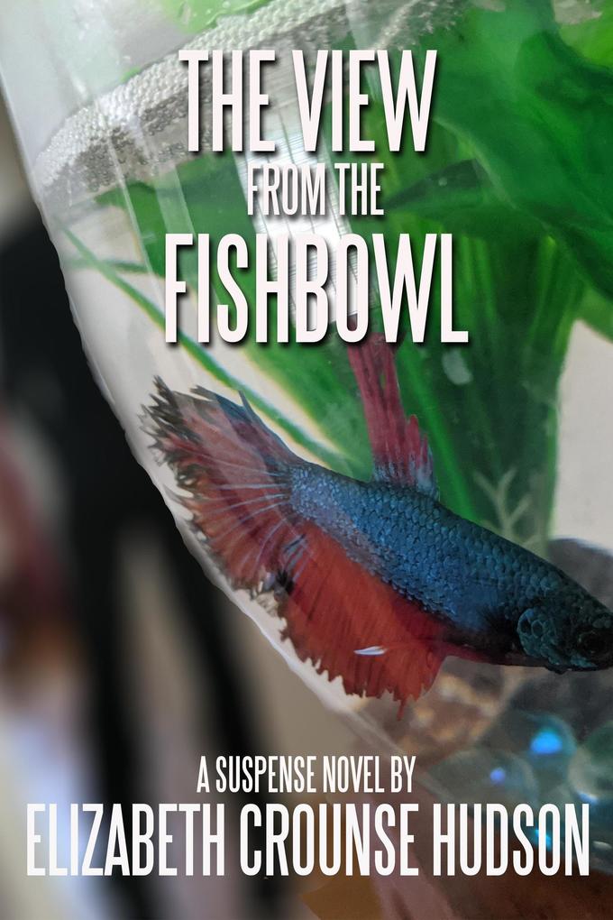 The View from the Fishbowl (JJ Johnson Suspense #1)