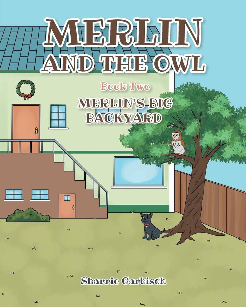 Merlin and the Owl
