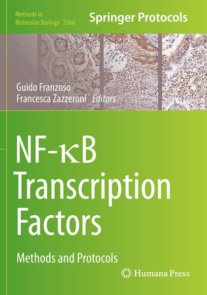 NF-B Transcription Factors