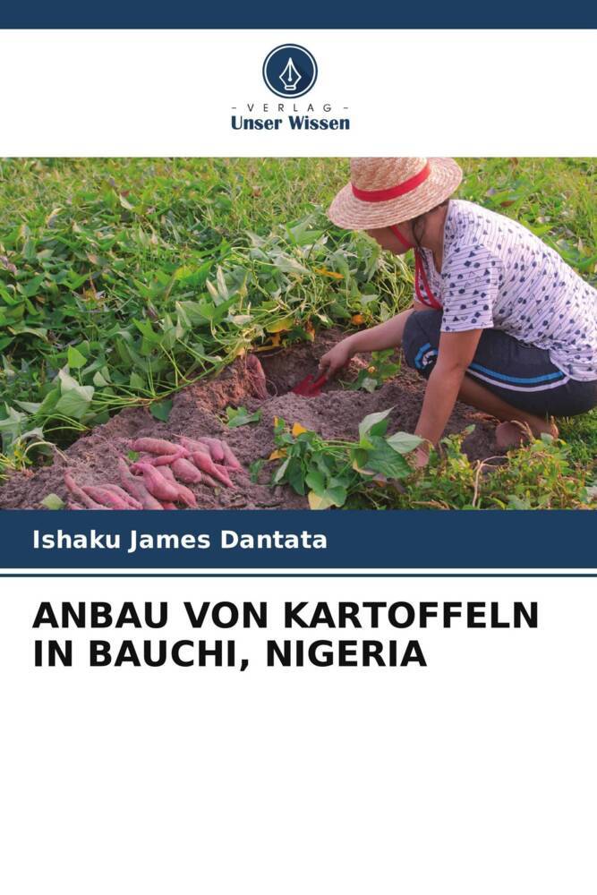 ANBAU VON KARTOFFELN IN BAUCHI NIGERIA