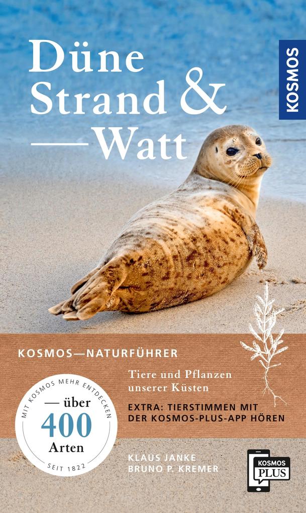 Düne Strand und Watt