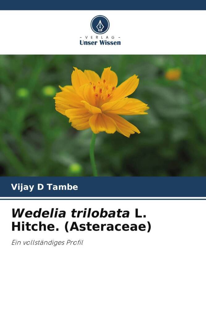Wedelia trilobata L. Hitche. (Asteraceae)