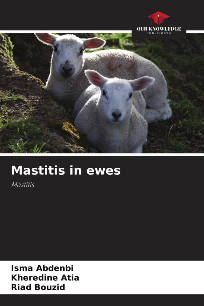 Mastitis in ewes