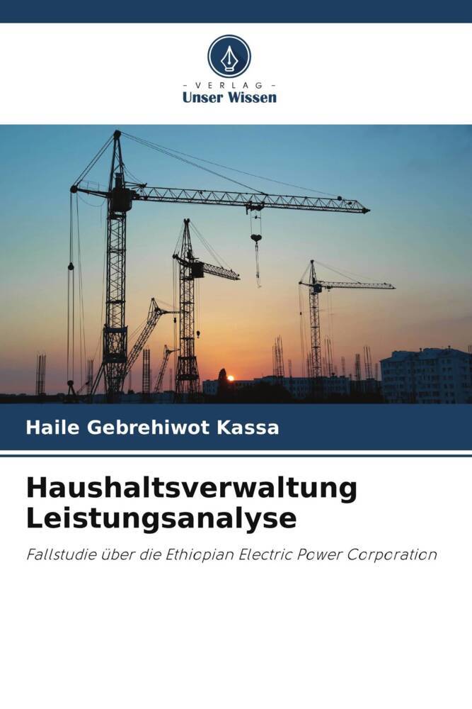 Haushaltsverwaltung Leistungsanalyse