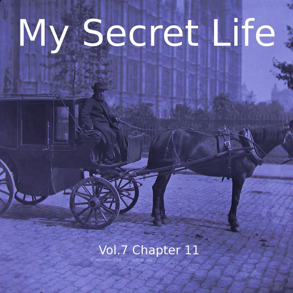 My Secret Life Vol. 7 Chapter 11