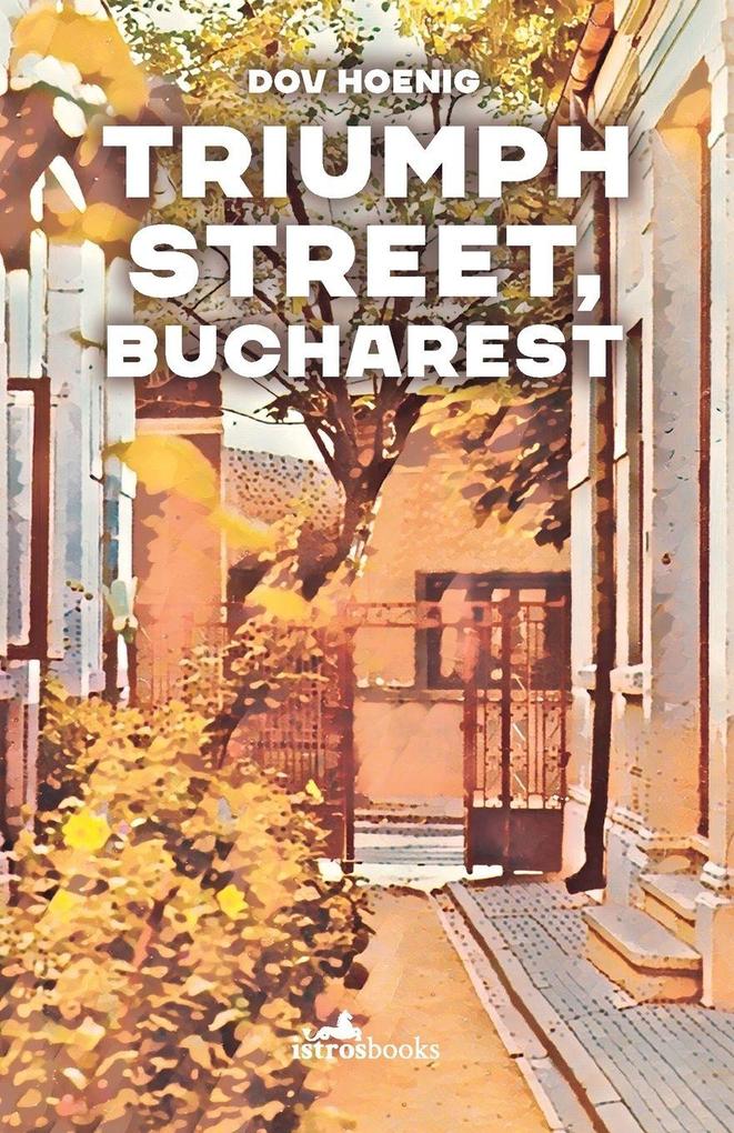 Triumph Street Bucharest