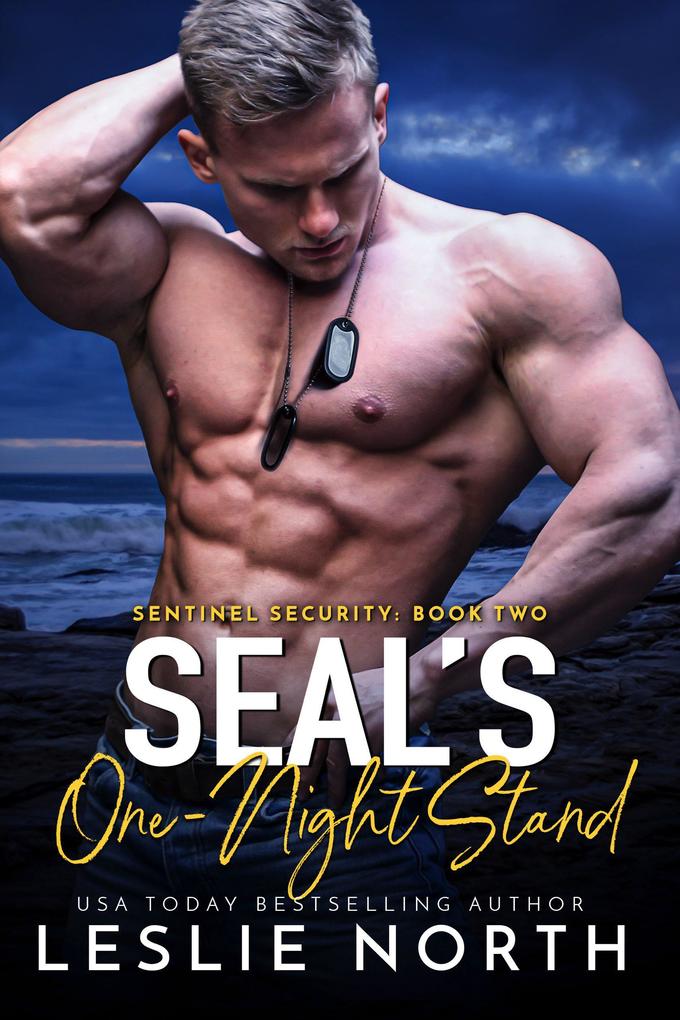 SEAL‘s One-Night Stand (Sentinel Security #2)