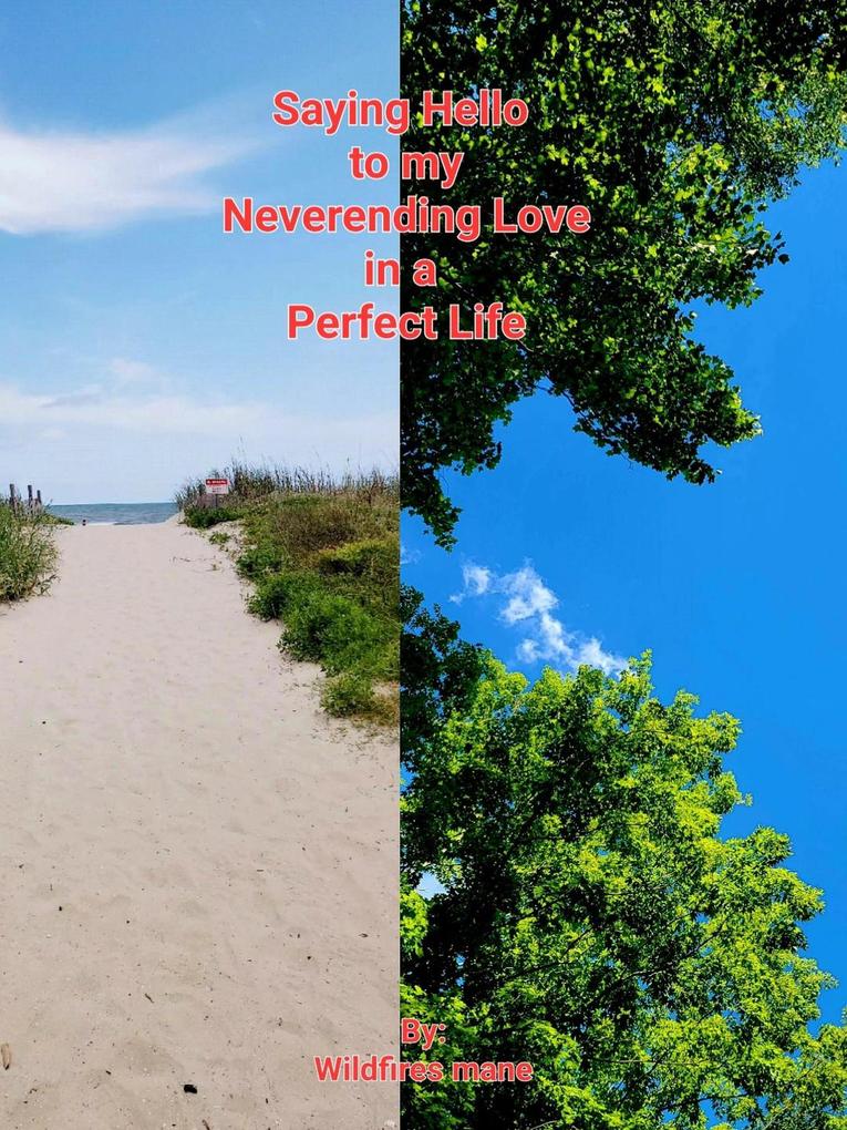 Saying Hello to my Neverending Love in a Perfect Life (The Perfect Love in my not so Perfect Life #3)