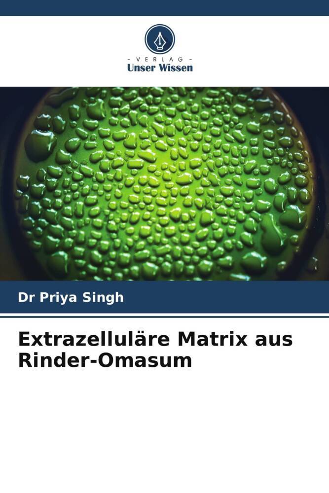 Extrazelluläre Matrix aus Rinder-Omasum