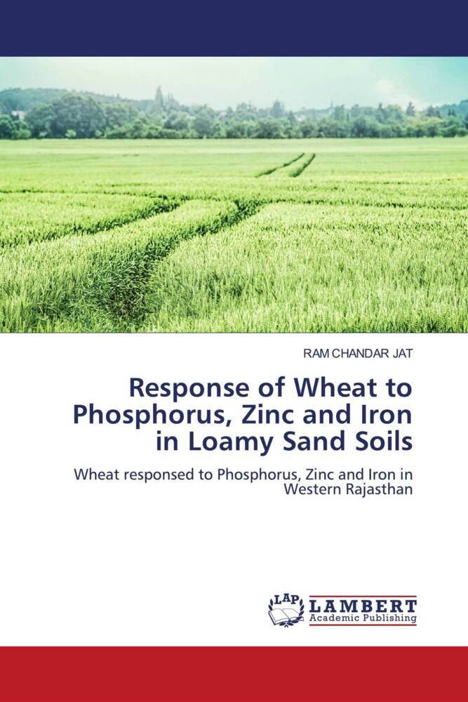 Response of Wheat to Phosphorus Zinc and Iron in Loamy Sand Soils