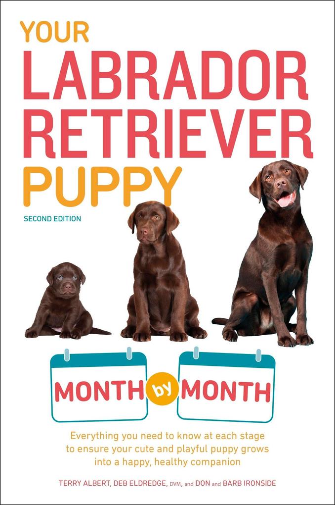 Your Labrador Retriever Puppy Month by Month 2nd Edition