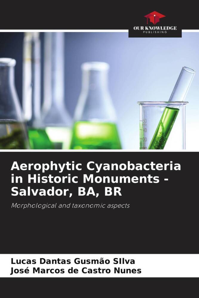 Aerophytic Cyanobacteria in Historic Monuments - Salvador BA BR
