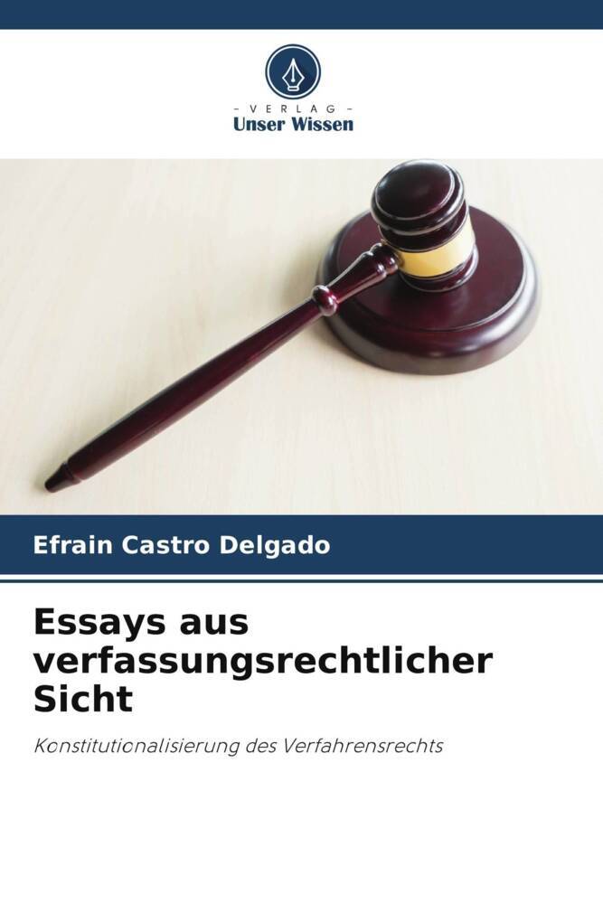 Essays aus verfassungsrechtlicher Sicht