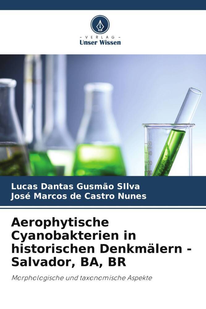 Aerophytische Cyanobakterien in historischen Denkmälern - Salvador BA BR