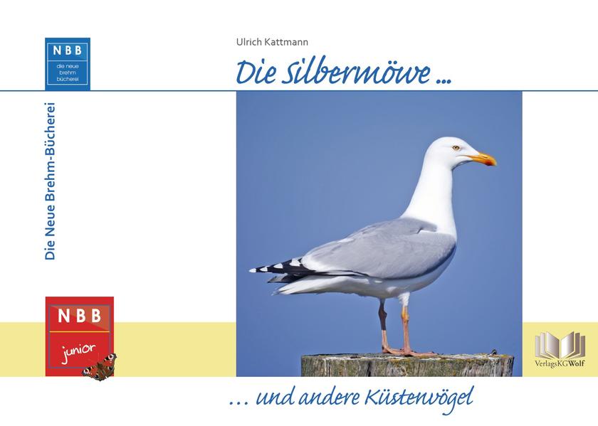 Image of Die Silbermöwe und andere Küstenvögel