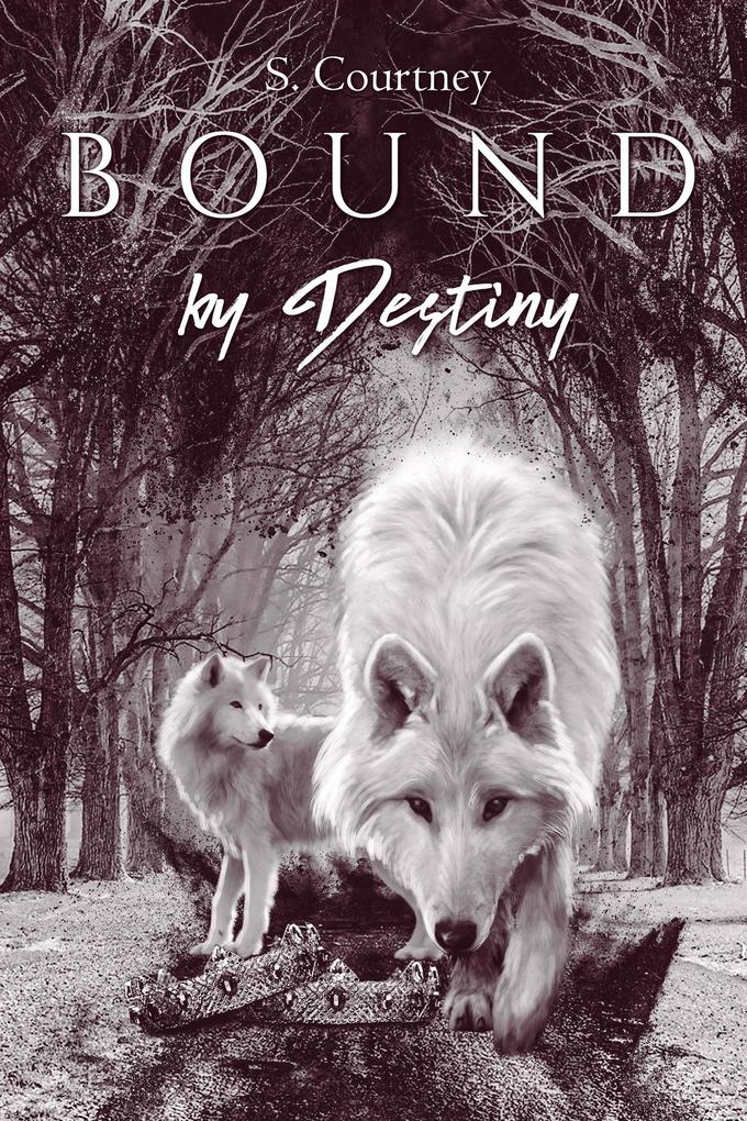 Bound by Destiny (The Bound Series #2)