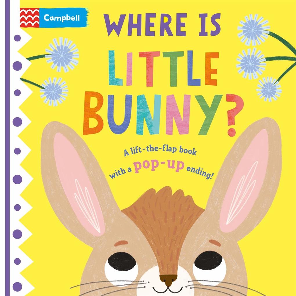 Image of Where is Little Bunny?