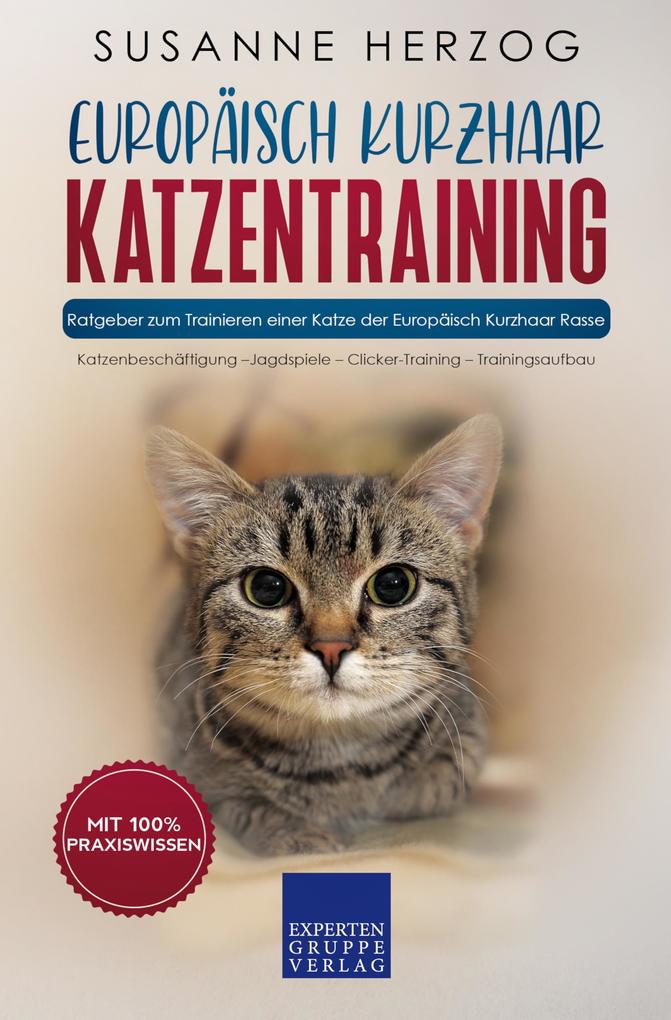 Europäisch Kurzhaar Katzentraining - Ratgeber zum Trainieren einer Katze der Europäisch Kurzhaar Rasse