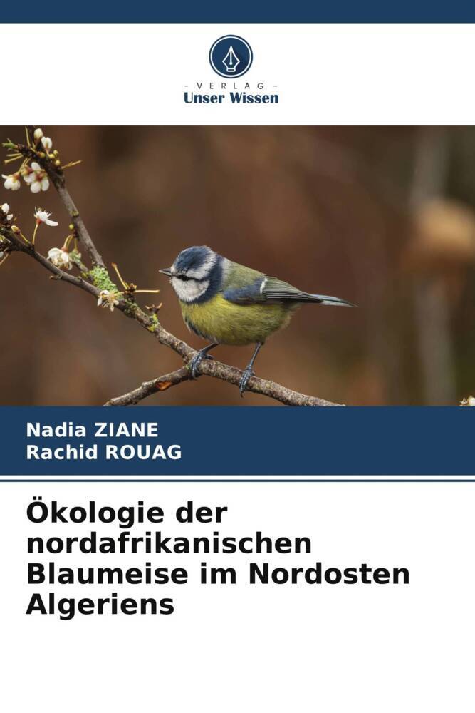 Ökologie der nordafrikanischen Blaumeise im Nordosten Algeriens