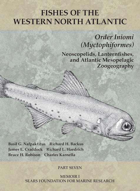 Order Iniomi (Myctophiformes)