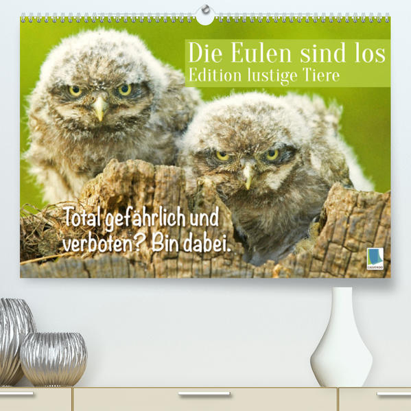 Die Eulen sind los: Edition lustige Tiere (Premium hochwertiger DIN A2 Wandkalender 2023 Kunstdruck in Hochglanz) - Calvendo